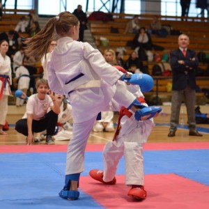 Campionatul National de Karate-Do Shotokan