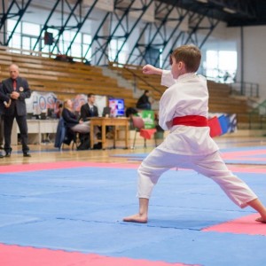 Campionatul National de Karate-Do Shotokan