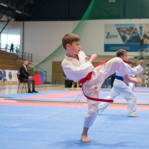 Campionatul National de Karate-Do Shotokan