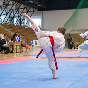 Campionatul National de Karate-Do Shotokan