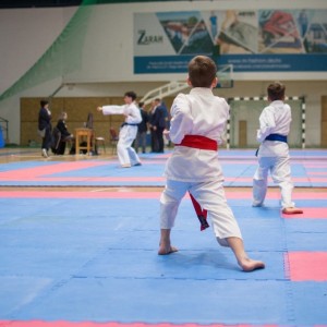 Campionatul National de Karate-Do Shotokan