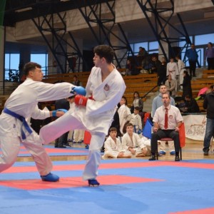 Campionatul National de Karate-Do Shotokan