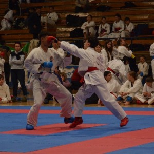 Campionatul National de Karate-Do Shotokan