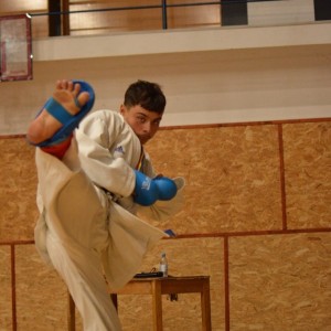 Campionatul National de Karate-Do Shotokan