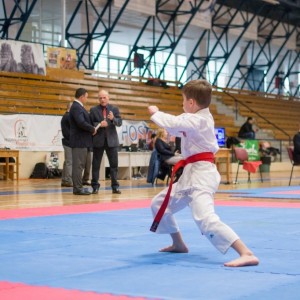 Campionatul National de Karate-Do Shotokan