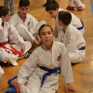 Campionatul National de Karate-Do Shotokan