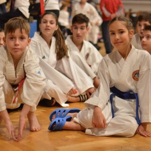 Campionatul National de Karate-Do Shotokan