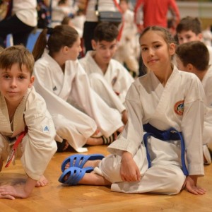 Campionatul National de Karate-Do Shotokan