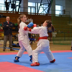 Campionatul National de Karate-Do Shotokan