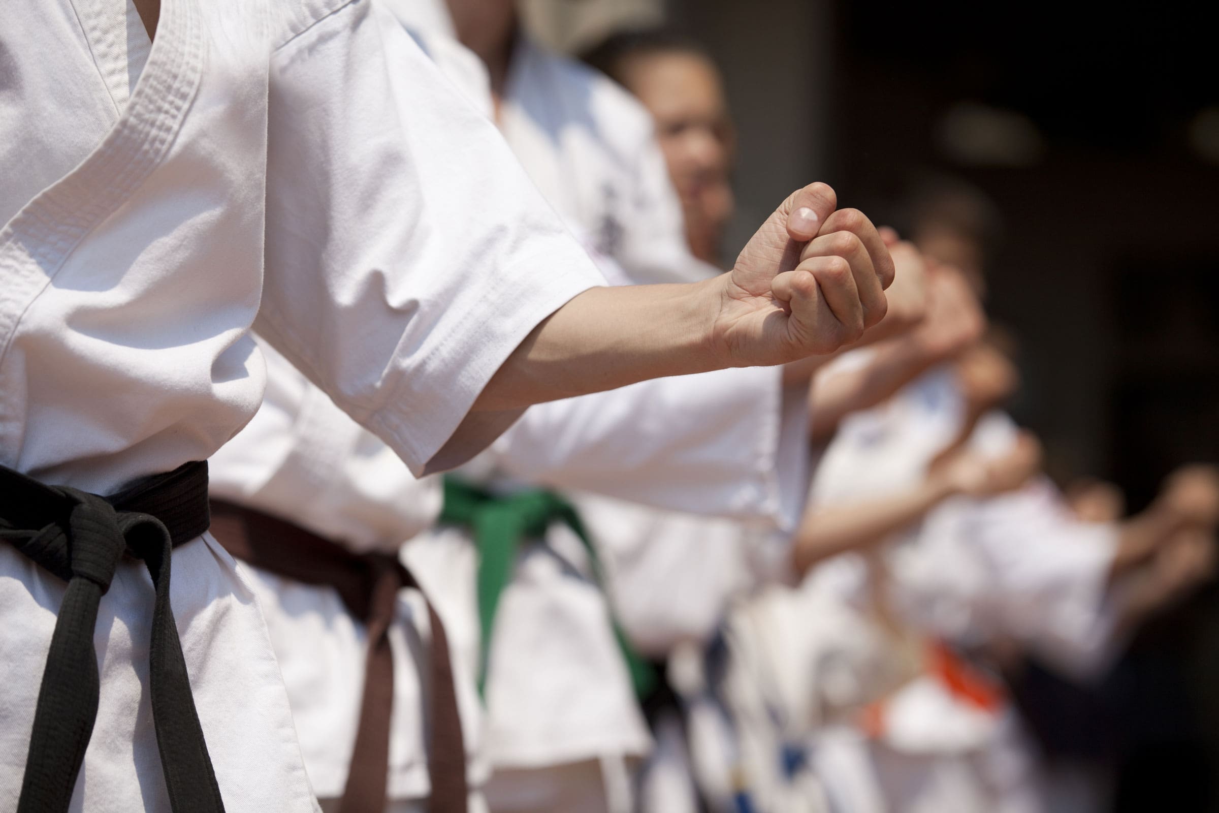 KARATE SHOTOKAN CONSTANTA